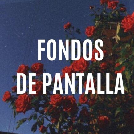 Fondos De Pantalla Minimalistas 5 WhatsApp Image 2021 02 18 at 17.02.55 22