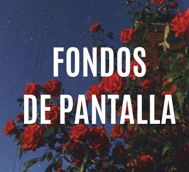Fondos De Pantalla Minimalistas 1 WhatsApp Image 2021 02 18 at 17.02.55 22