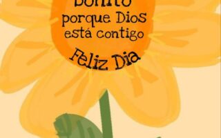 descarga 26